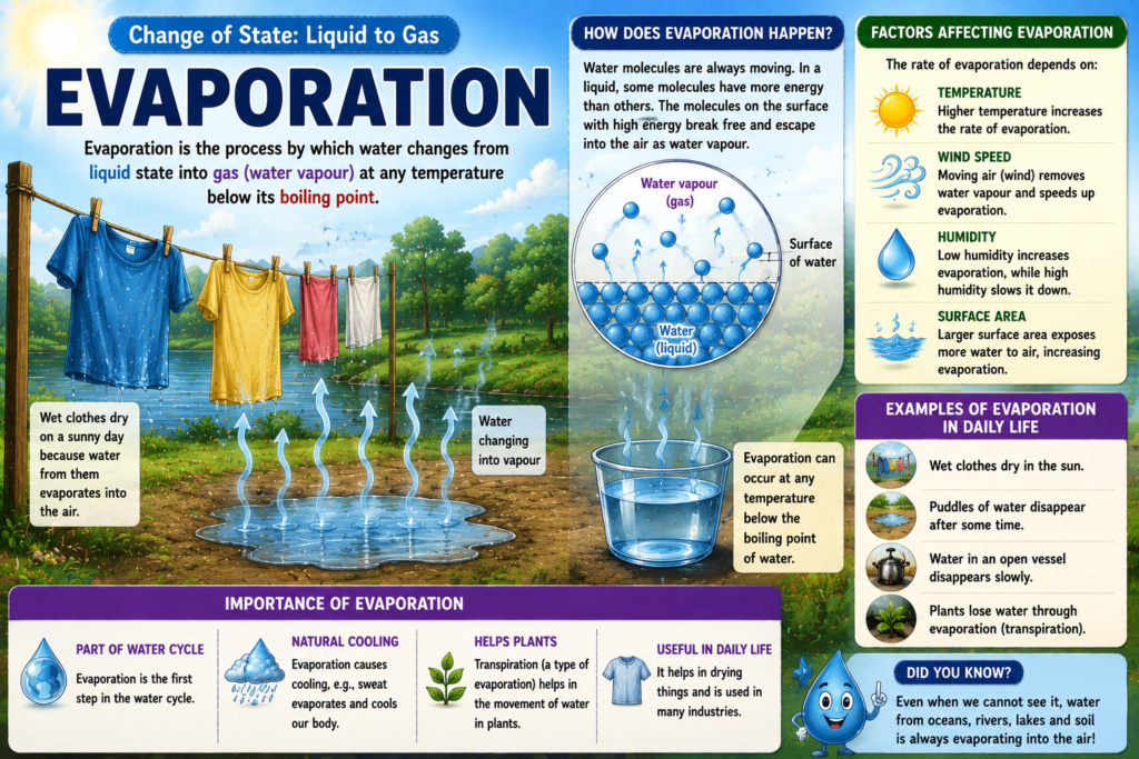 A Journey through States of Water Class 6 Notes