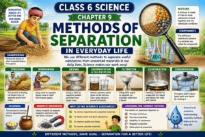 Methods of Separation in Everyday Life Class 6 Notes